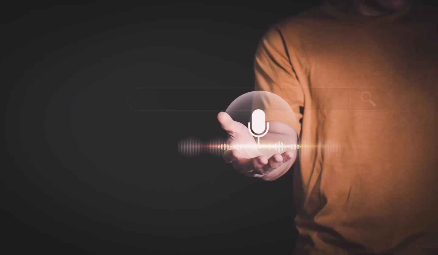 voice sear optimization 2024 Collinsville, IL businesses