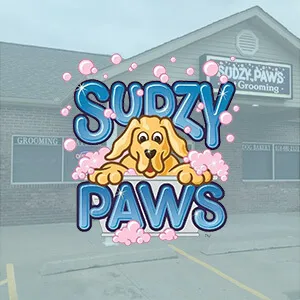 sudzy paws